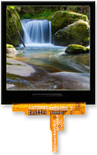 ST0154G4W-RSLW-C