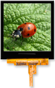 ST0154G3W-RSLW-C